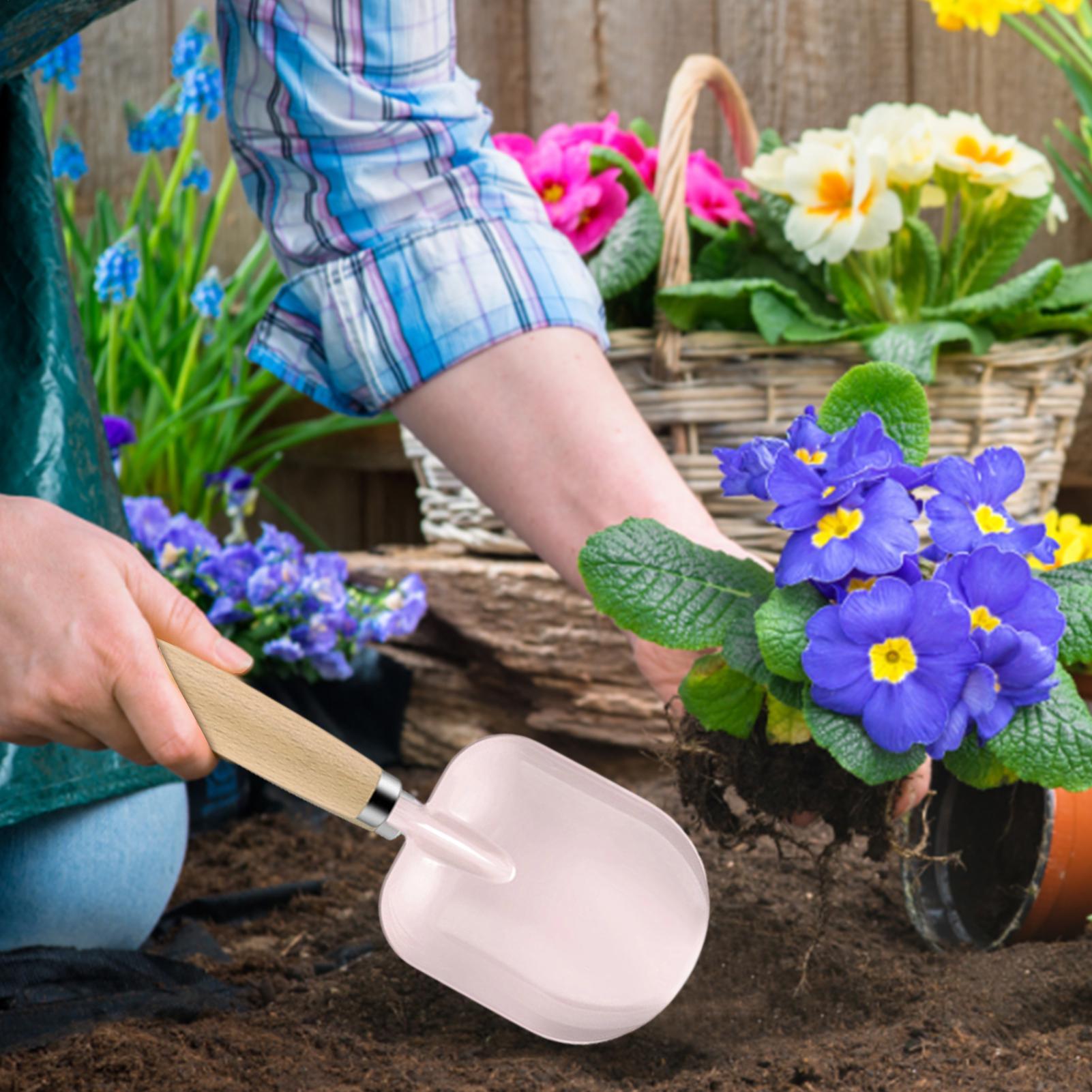 Buitenspeelgoed voor kinderen  - Kids Outdoor Dirt Toys recensie en prijs